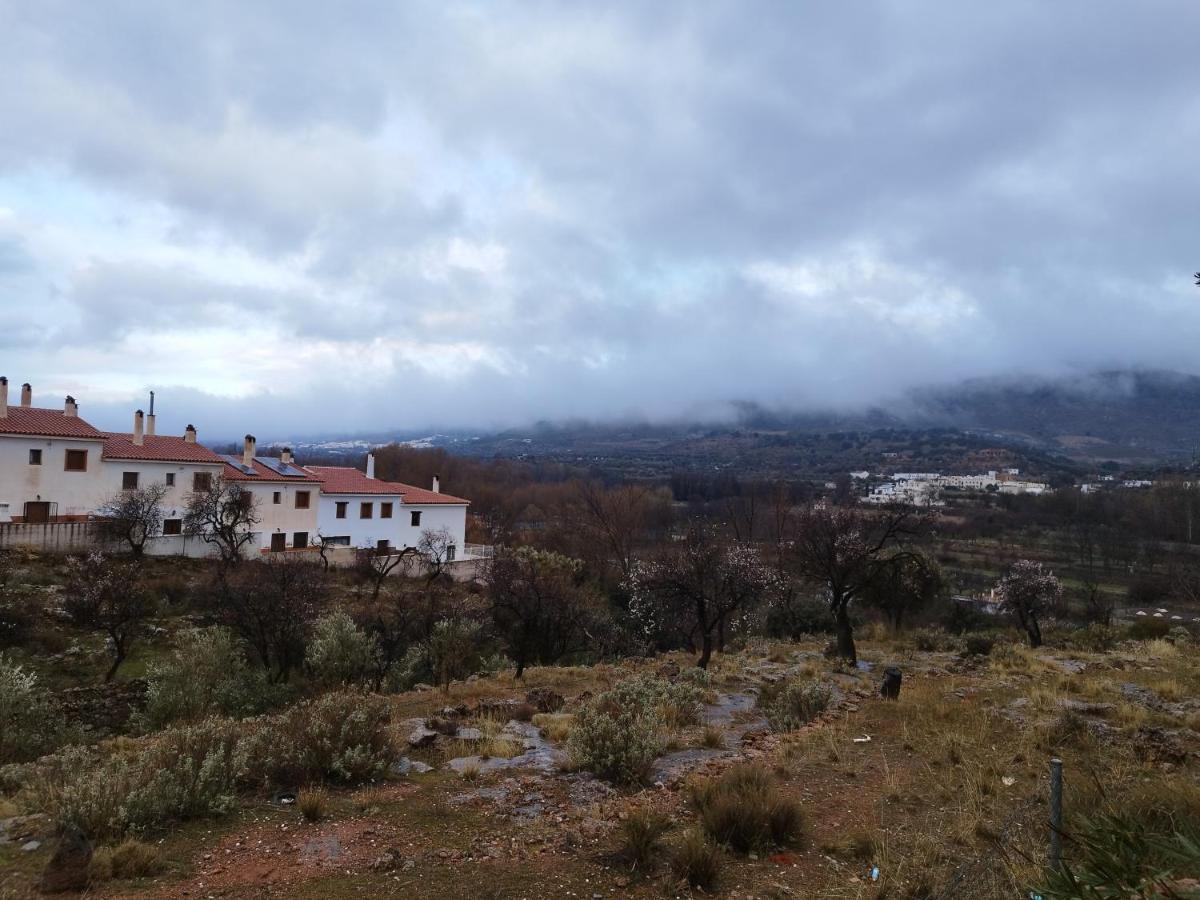 Los Olivos De Fondón Eksteriør bilde