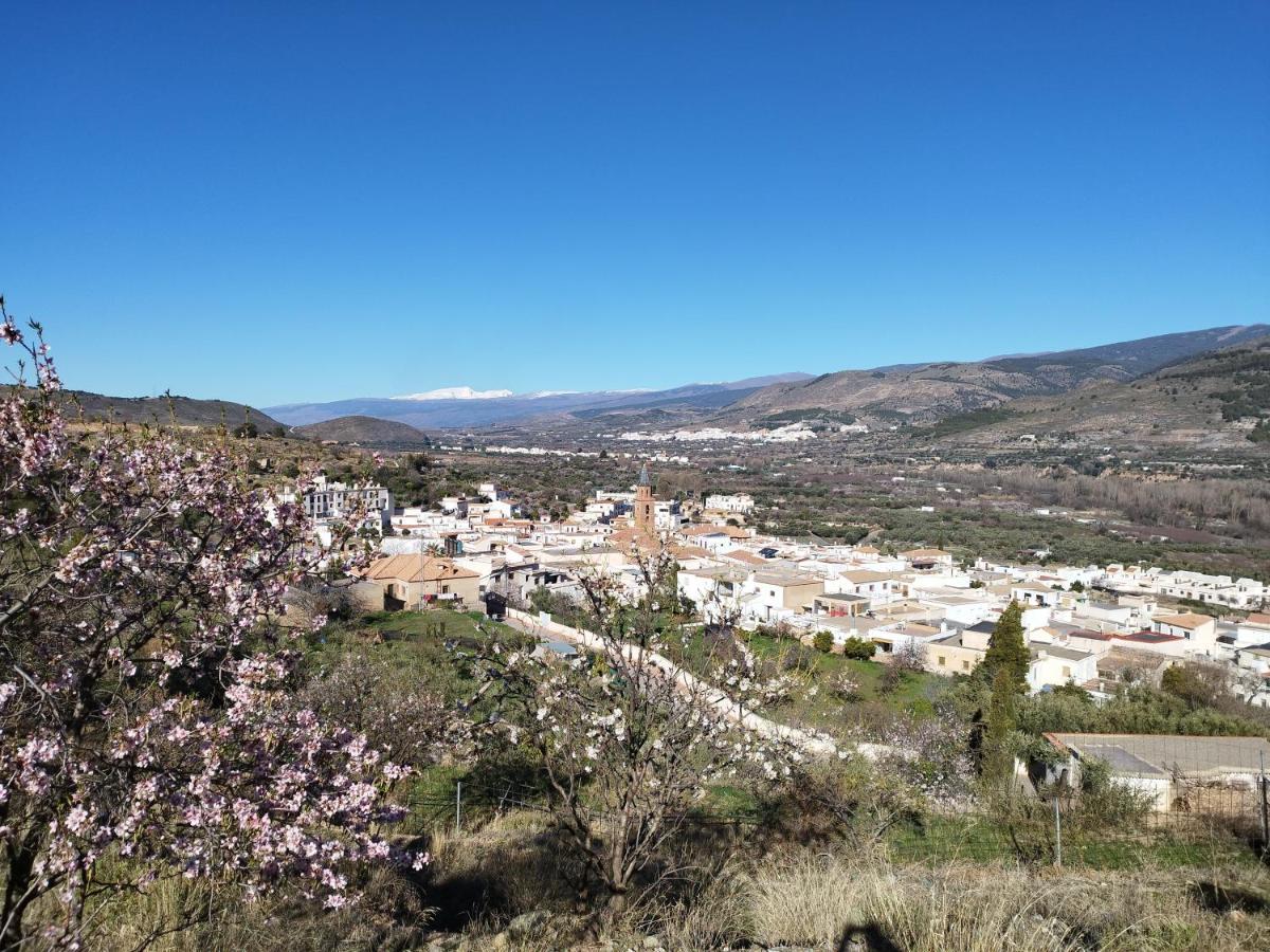 Los Olivos De Fondón Eksteriør bilde