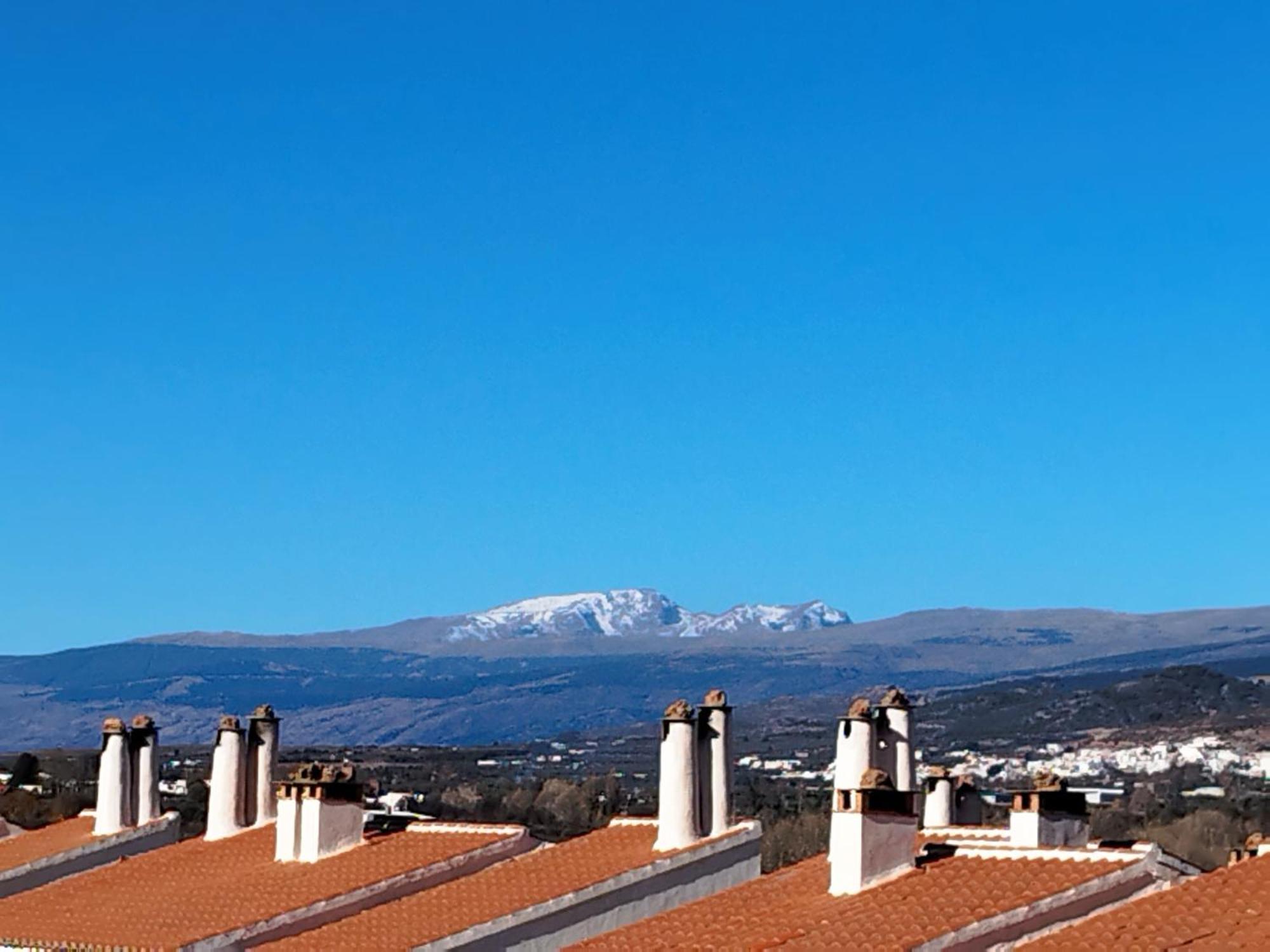 Los Olivos De Fondón Eksteriør bilde