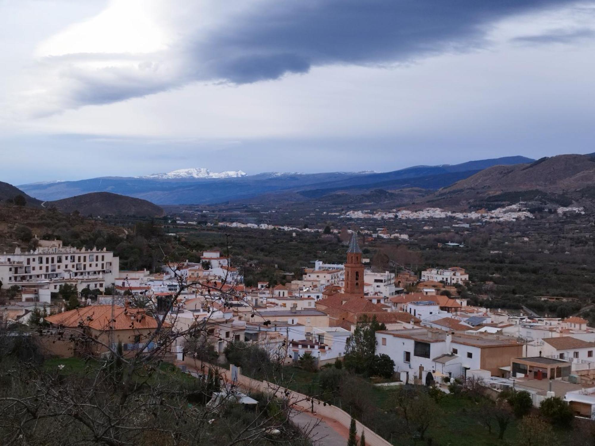 Los Olivos De Fondón Eksteriør bilde